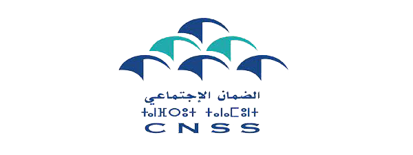 cnss_logo
